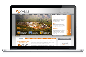 VAMS